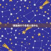 属鼠的六个合贵人是什么，1996年属鼠人的贵人