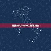 属猪的儿子和什么属相相合，属兔的和属猪的合不合？