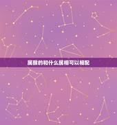 属猴的和什么属相可以相配，猴跟什么生肖配对更好