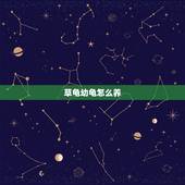 草龟幼龟怎么养，草龟苗怎么养
