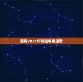 属狗2021年财运每月运势，狗年出生的人2021年运程每月运势