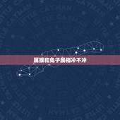 属猴和兔子属相冲不冲，属猴的和什么属相相克相冲，准到离谱