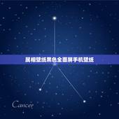 属相壁纸黑色全面屏手机壁纸，求这张图片9比16比例的版本，做全面屏手机