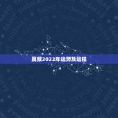 属猴2022年运势及运程，2022年猴的运气如何