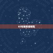 83年猪属相婚配，83年属猪能与那些女属相相配合适