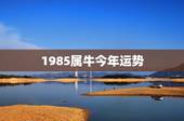 1985属牛今年运势，1985年2022 年事业财运