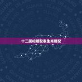 十二属相婚配表生肖婚配，和属什么生肖婚配最好