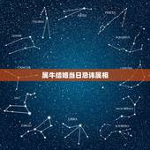 属牛结婚当日忌讳属相，属牛的十一月结婚忌讳啥属相