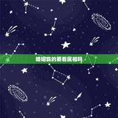 婚姻真的要看属相吗，属相相冲如何化解