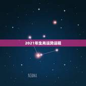 2021年生肖运势运程，十二生肖运程2021年运势每月运程