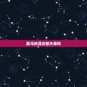 属马的适合做夫妻吗，两个90年属马结婚好吗