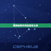属狗的明天财运是怎么样，属龙人的婚姻与命运