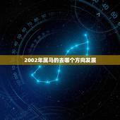 2002年属马的去哪个方向发展，2002年属马的人房屋朝向哪方风水好