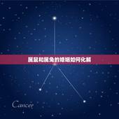 属鼠和属兔的婚姻如何化解，属鼠与属兔的女孩子不合适结婚吗？如果执意在一