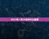 2021年一月24日冲什么属相，2021属什么生肖，2021是什么生肖