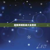 属猴男婚配表大全男孩，属猴的属相婚配表，属猴的和什么属相最配，属猴的属