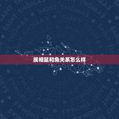 属相鼠和兔关系怎么样，兔子和老鼠属相不合？
