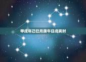 甲戌年己巳月庚午日戊寅时，庚午年戊寅月壬戌日