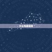 什么龟最值钱，什么龟最值钱？