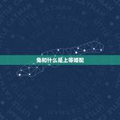 兔和什么是上等婚配，属兔的男人和什么属相最般配