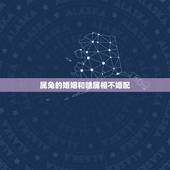 属兔的婚姻和啥属相不婚配，属相婚配：男属兔和女属鸡相配吗