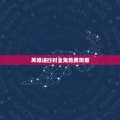 再婚进行时全集免费观看，有一部电视剧叫《再婚进行时》是姚芊羽演的，想问