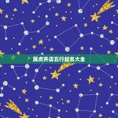 属虎开店五行起名大全，属虎缺水取名最吉利的字