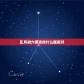 正月初六男孩找什么属相好，六五年正月初六生的女人和什么属相的男子结婚好