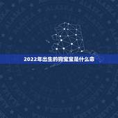 2022年出生的狗宝宝是什么命，2022年是什么命