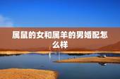 属鼠的女和属羊的男婚配怎么样，属鼠女和属羊男好不好