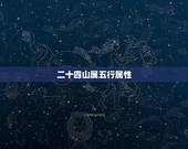 二十四山属五行属性，我想问的是廖公所言三阳