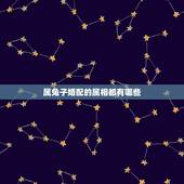属兔子婚配的属相都有哪些，属兔子和什么相配好