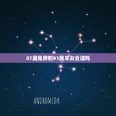 87属兔男和91属羊女合适吗，87男属兔和91女羊相配