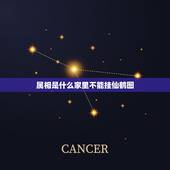 属相是什么家里不能挂仙鹤图，风水上卧室挂仙鹤图好吗？