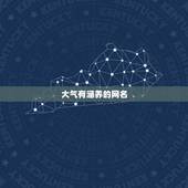 大气有涵养的网名，要那种高端大气上档次，低调奢华有内涵，文明高雅不伤人