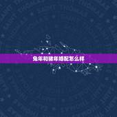 兔年和猪年婚配怎么样，婚配中，女方属兔，应配男方属啥好？