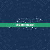 老鼠跟什么属相旺，鼠生肖与什么生肖相旺