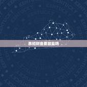 养招财鱼要放盐吗，养招财鱼的讲究