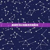 属猪的可以和属虎的婚配吗，属猪和属虎可以在一起吗？