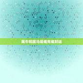 属牛和属马是谁克谁财运，属牛跟属马的属相和吗