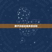 庚子水旺还是辛丑水旺，岁次庚子是什么意思