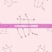 83年的猪是什么命婚姻，83年属猪男2022 年婚姻状况