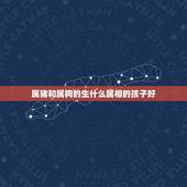 属猪和属狗的生什么属相的孩子好，我属狗，老婆属猪，请高师指点生个什么属