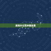 龙和什么犯冲做生意，做生意属龙的和什么属相最配