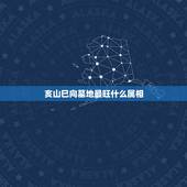 亥山巳向墓地最旺什么属相，七运，亥山巳向的房子，如何调整风水？