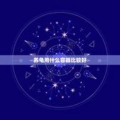 养龟用什么容器比较好，用什么容器养小乌龟