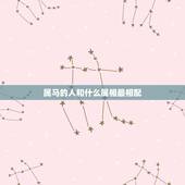 属马的人和什么属相最相配，属马的和哪个属相最合