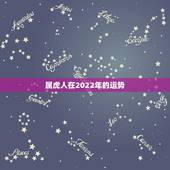 属虎人在2022年的运势，2022年属虎的命运怎么样