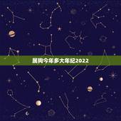 属狗今年多大年纪2022，兔子今年多大年纪