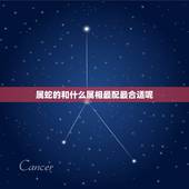 属蛇的和什么属相最配最合适呢，属蛇的和什么属相最配最合适呢电动车被偷